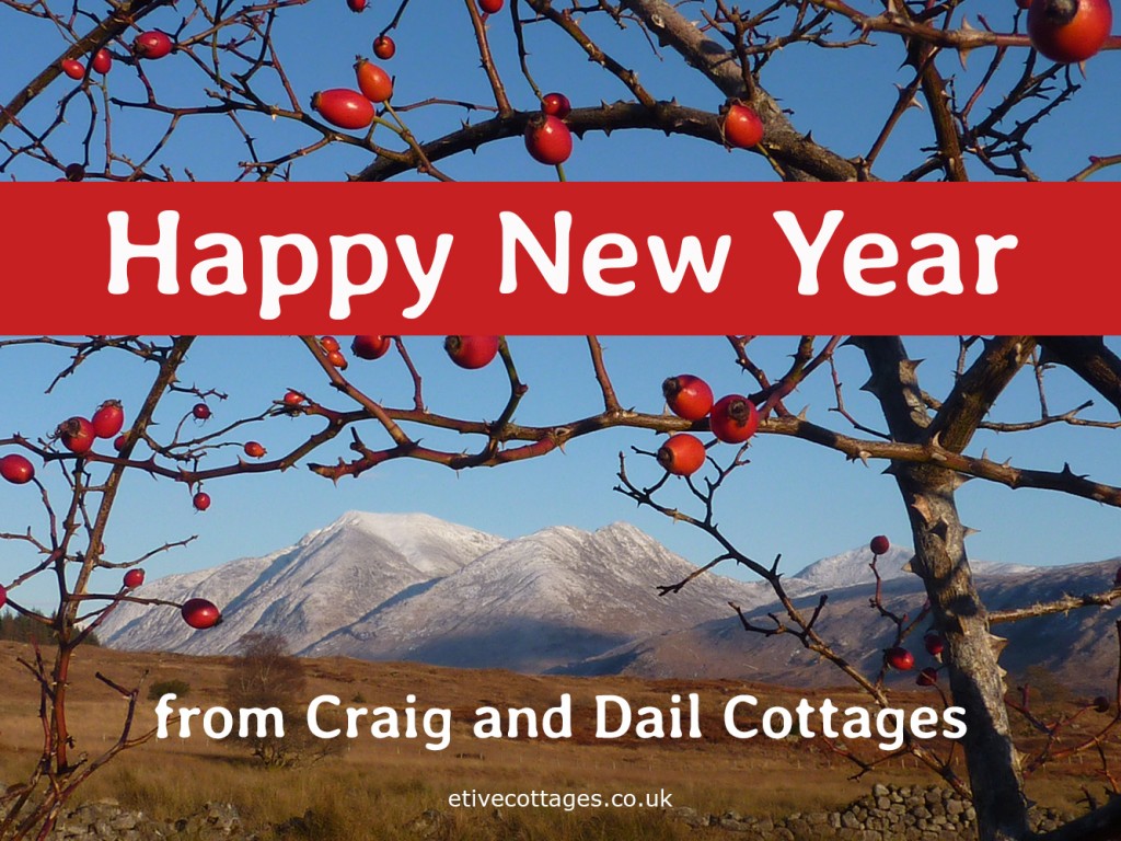 Happy New Year!