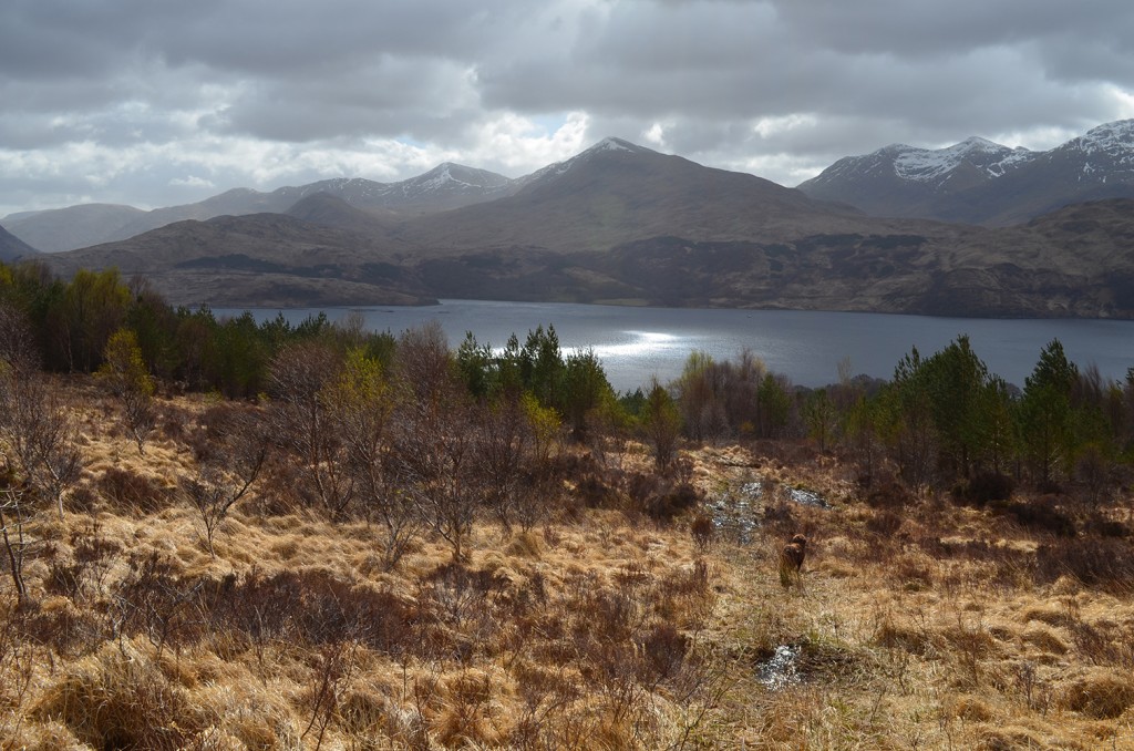 Off the beaten track