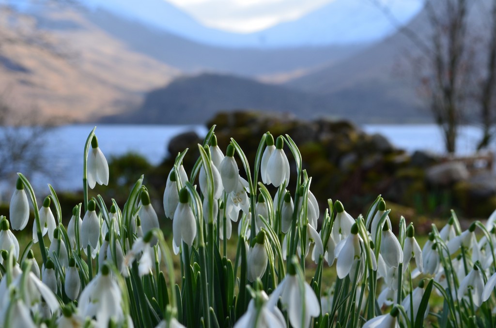 Winter on Loch Etive